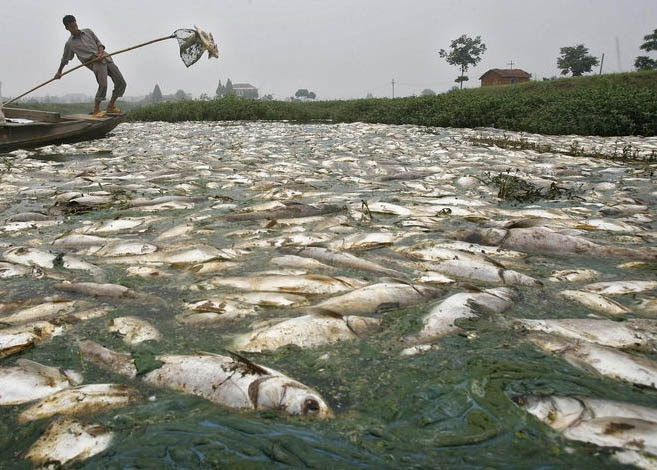 pics of water pollution