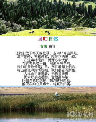 回归自然的名言名句