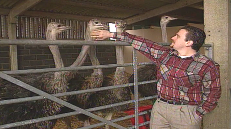Martin Evans at his ostrich farm
