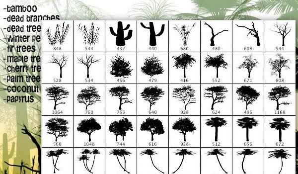 tree brushes photoshop
