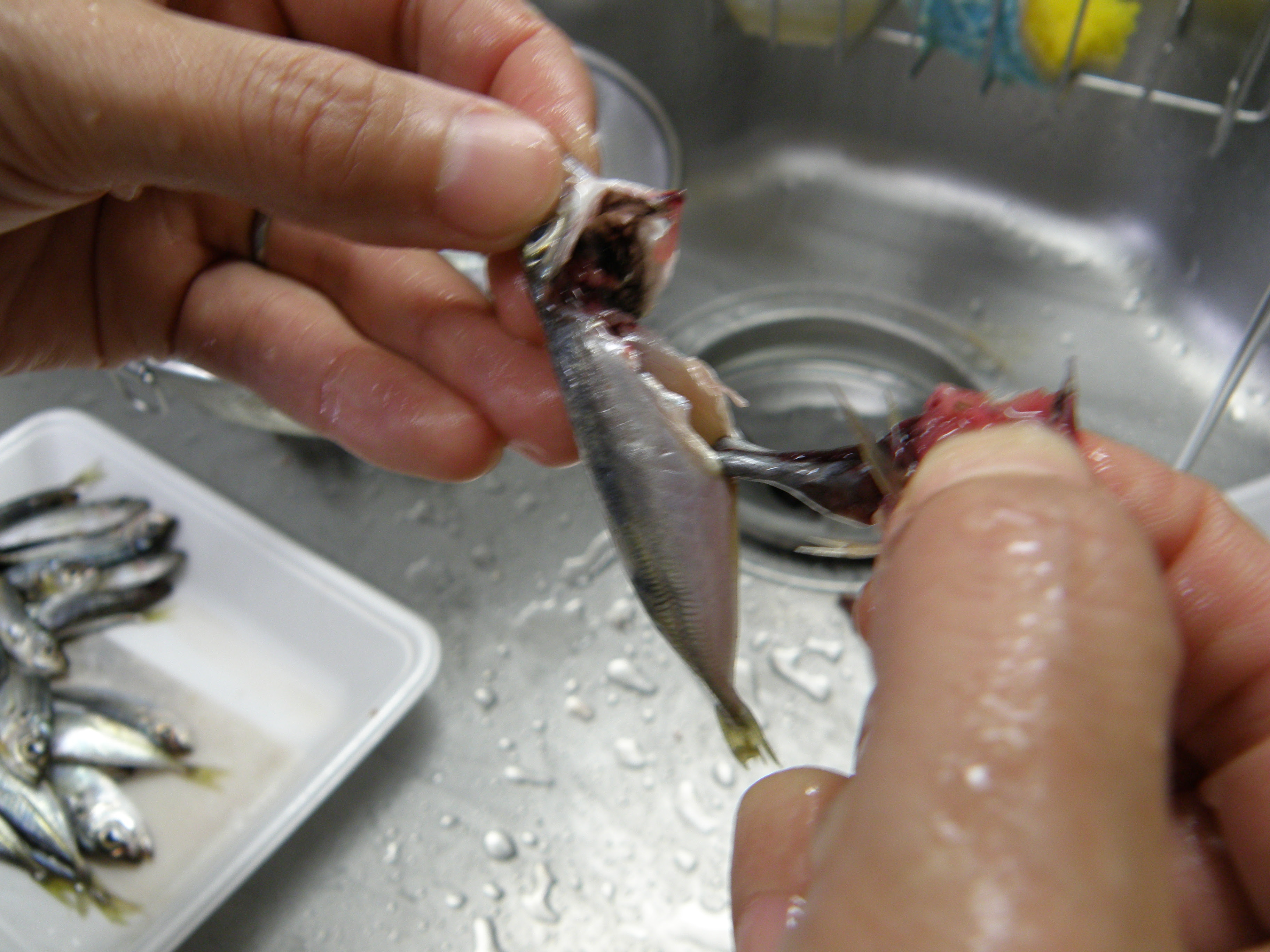 豆アジの南蛮漬けの作り方 豆アジ３秒下処理 家庭料理の簡単レシピ 佐藤家の食卓