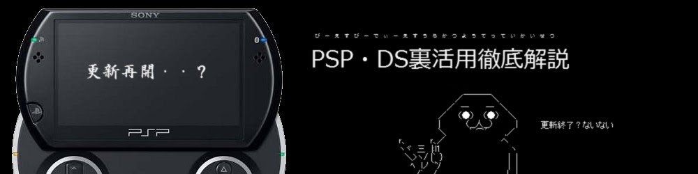 Psp Ds裏活用徹底解説 Bw2 ポケットモンスター ブラック2 ホワイト2 改造コード チートコード