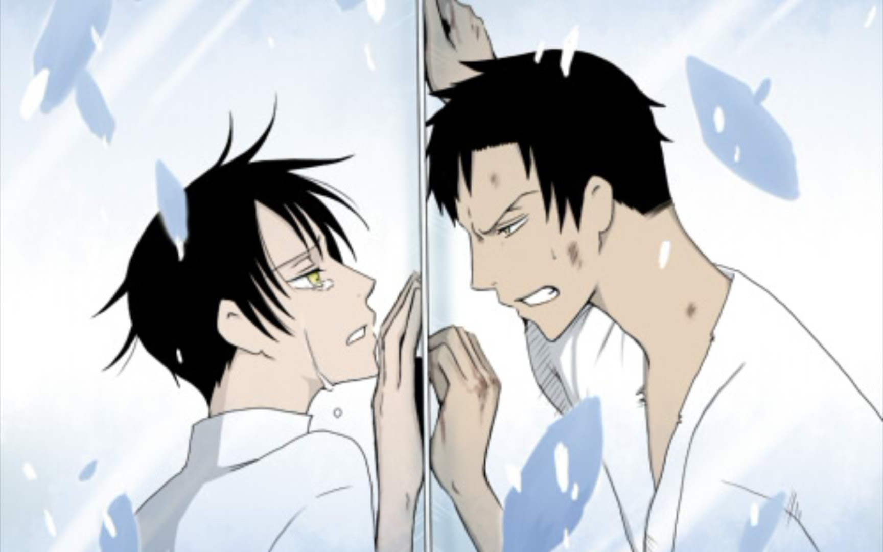 Xxxholic 百目鬼静 四月一日君寻 百四 Call Your Name 哔哩哔哩 Bilibili