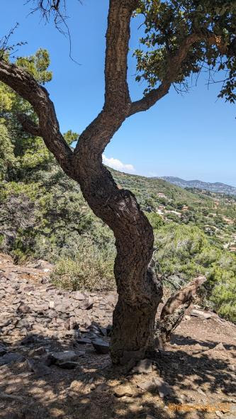 Le Pradet dans le Var - 2