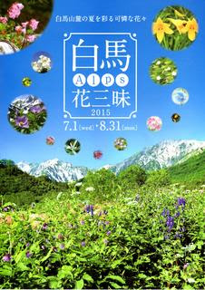 白馬ａｌｐｓ花三昧15 洗濯板