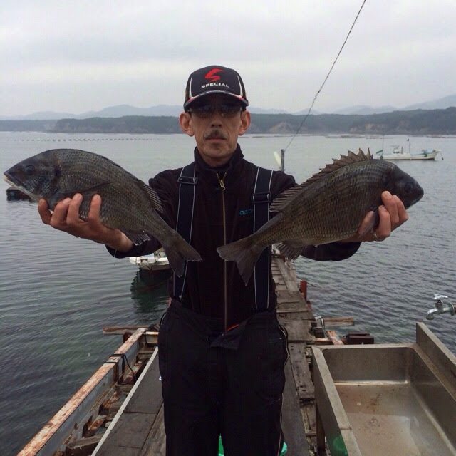 筏ちぬ釣果速報 相差海釣りセンター釣果