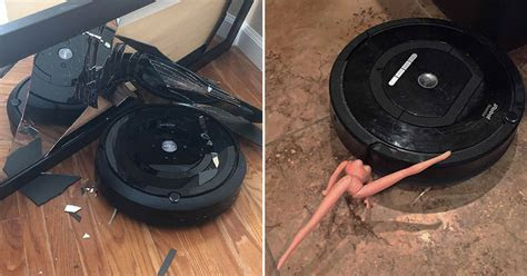 Some vacuums perform better with large debris like leaves, . People Are Sharing Their Funniest Roomba Fails (35 Pics)