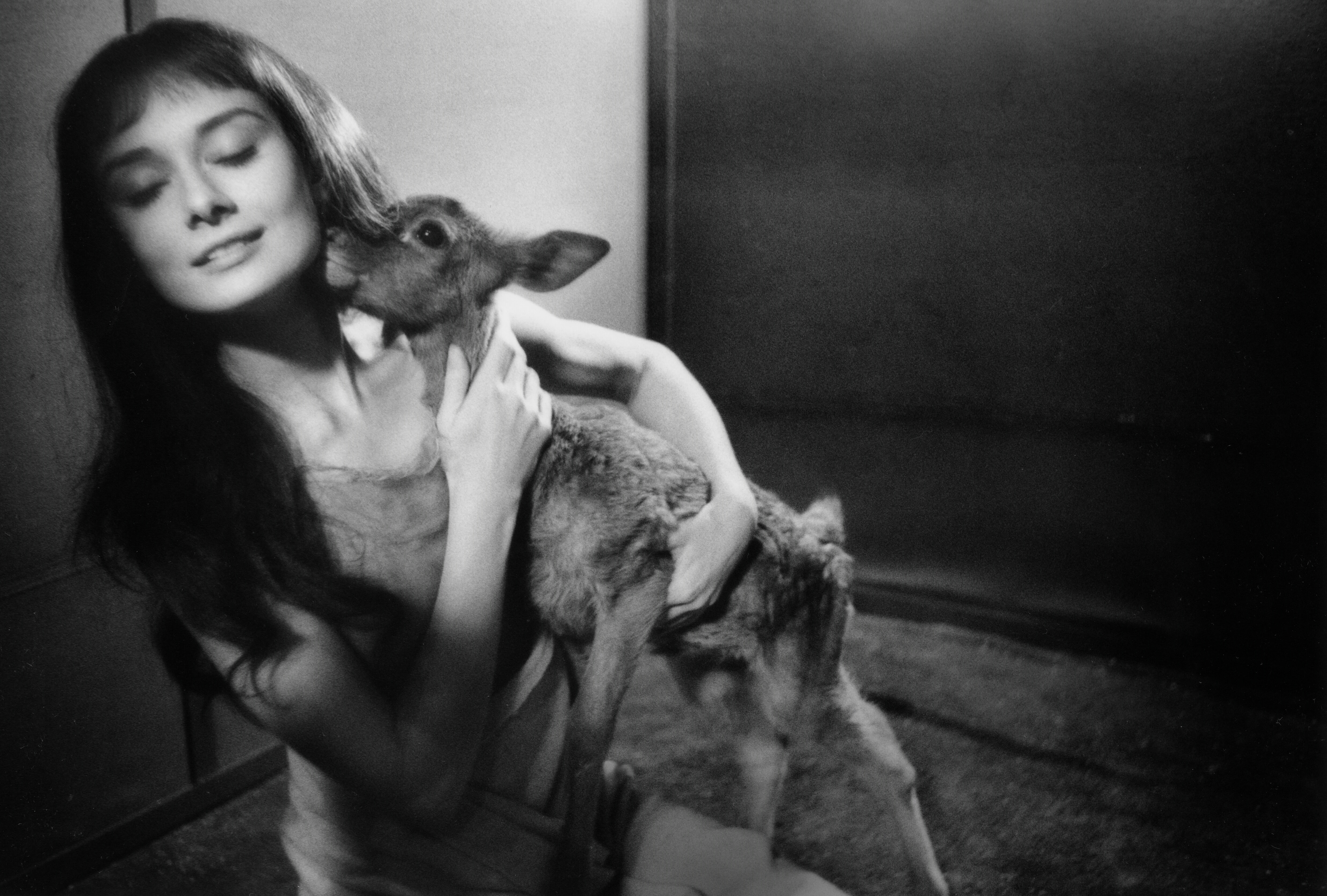 Audrey Hepburn visits her pet