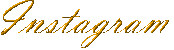 HTML6