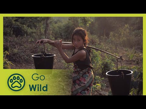 Laos Wonderland (full documentary) - The Secrets of Nature