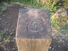 Image00010