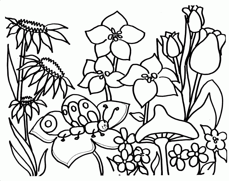 Free Flower Garden Coloring Pages Download Free Flower Garden Coloring Pages Png Images Free Cliparts On Clipart Library