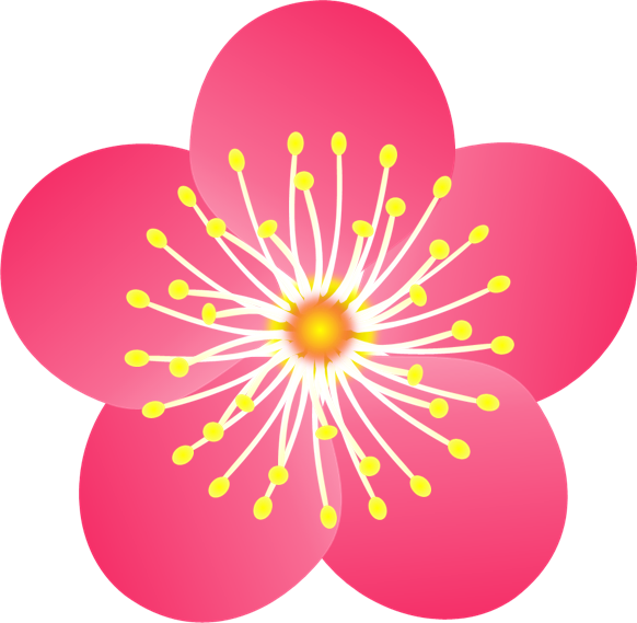 濃いピンク色の梅の花のイラスト 無料イラスト素材 ちいさないきもの