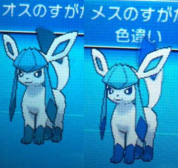 色違いに釘付け グレイシア Xy