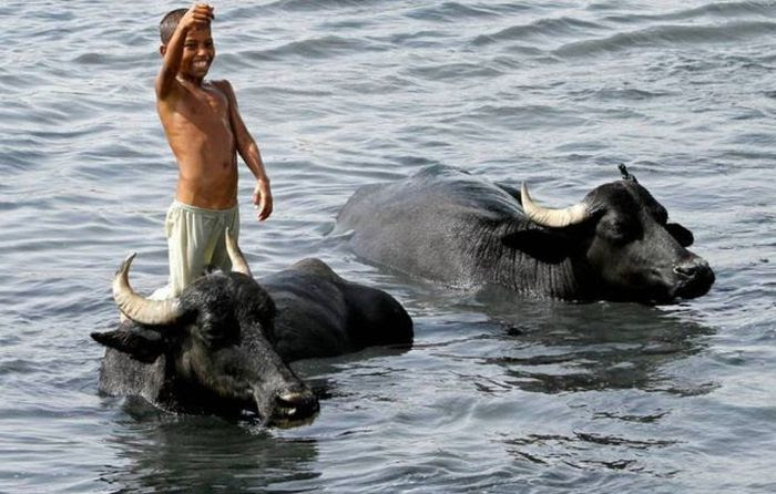Extremely Hot Summer Around the World (77 pics)
