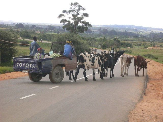Only in Africa! Part 2