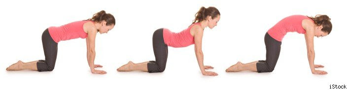Cat Cow Pose Fitness And Strength