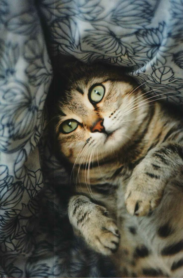 I surrender...I'm yours!!