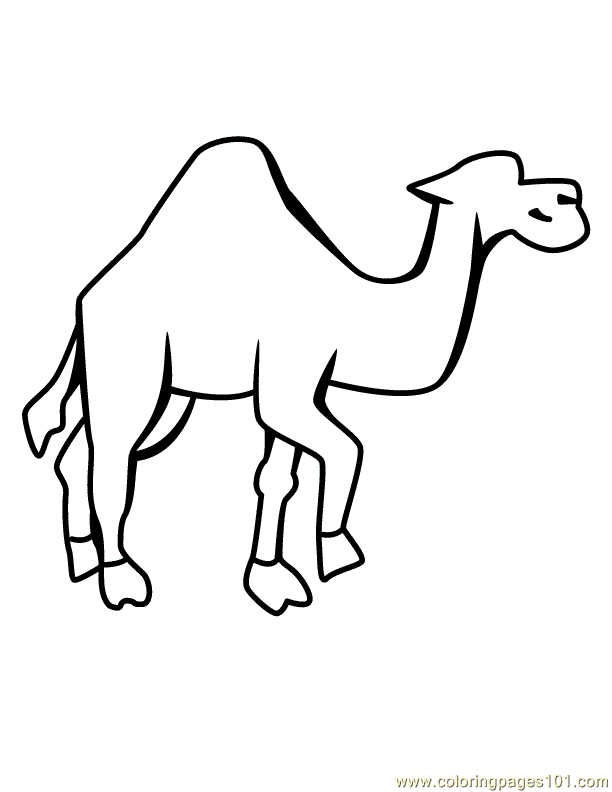 Download Free Camel Color, Download Free Clip Art, Free Clip Art on Clipart Library
