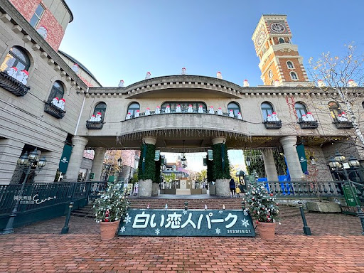 圖片