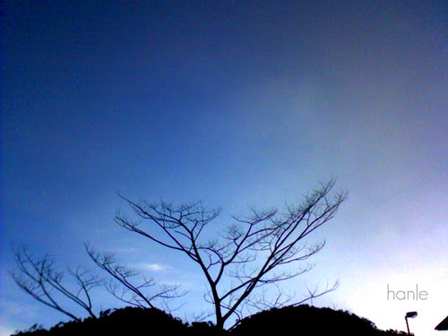the blue sky