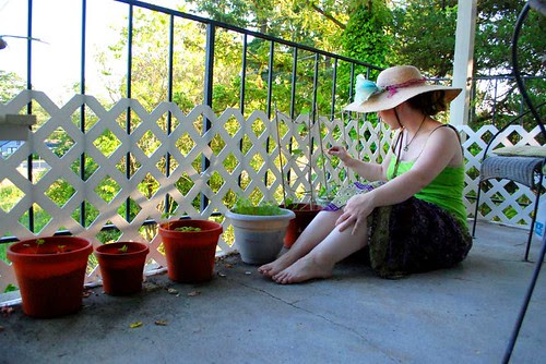patio garden