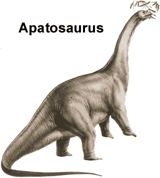 apatosaurus Apakah Yang Terjadi Dengan Dinosaurus?