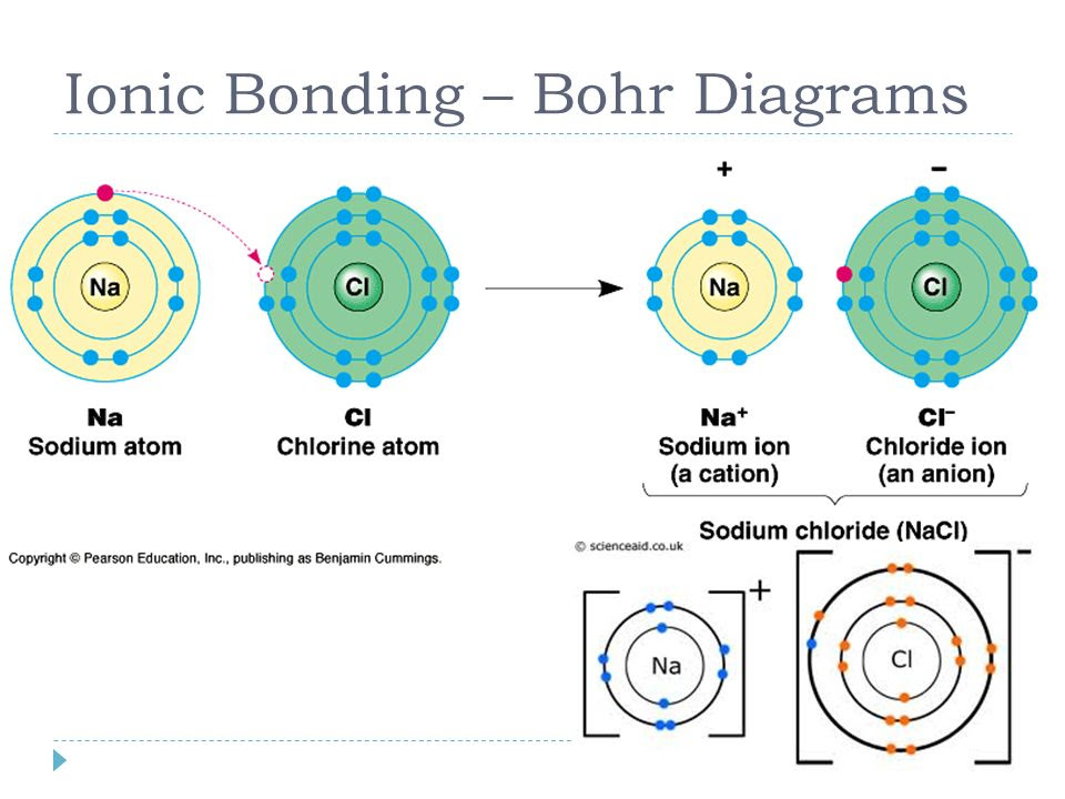 Bohr Diagram Of Atom Vs Ion Choice Image - How To Guide 