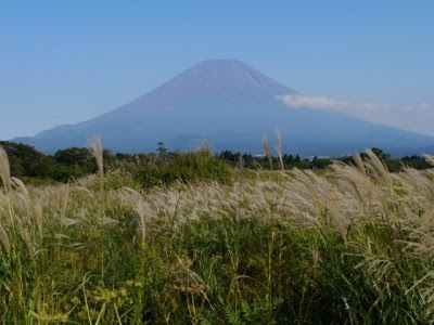 朝霧高原 国道139号沿い 静岡の観光地 遊び場