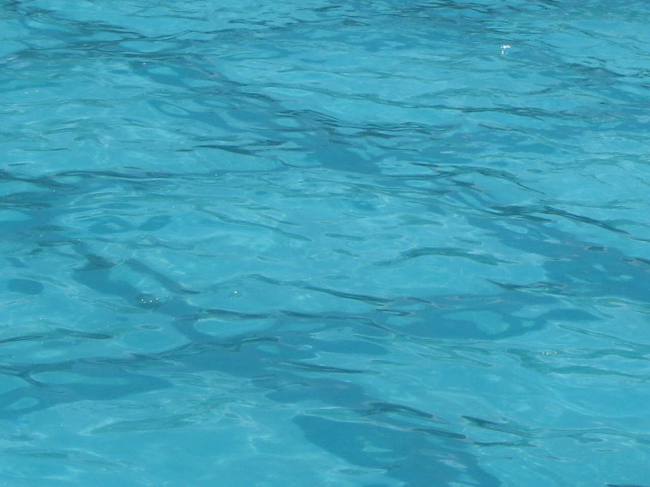 Aqua