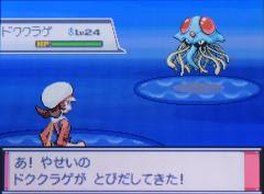 ポケモン育成 実践レポート