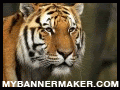 create your own banner at mybannermaker.com!
