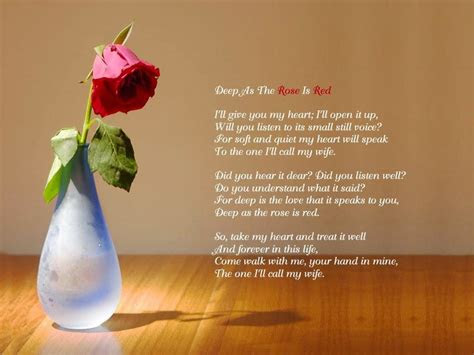 beautiful love quotes    rose flower images