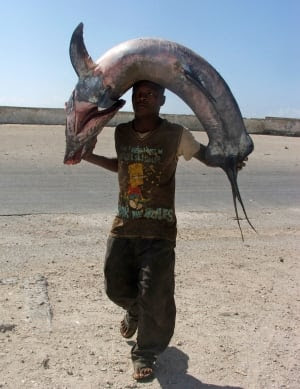 SOMALIA fish head
