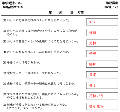 理科 時空先生のドリルプリント