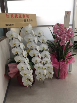 会長 社長就任 会長の 製品開発日誌