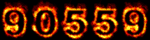 Web Site Hit Counter