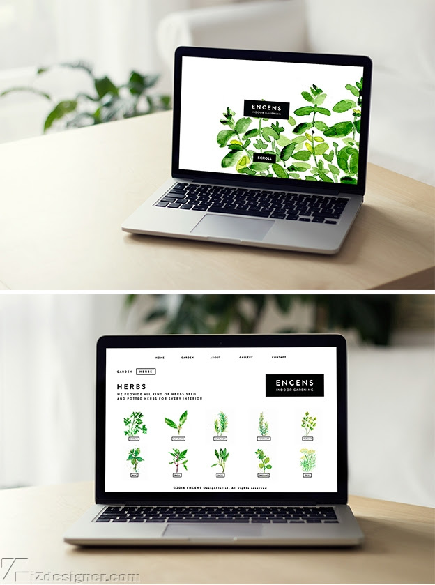 iZdesigner Team - Sử dụng màu nước trong thiết kế nhận diện thương hiệu