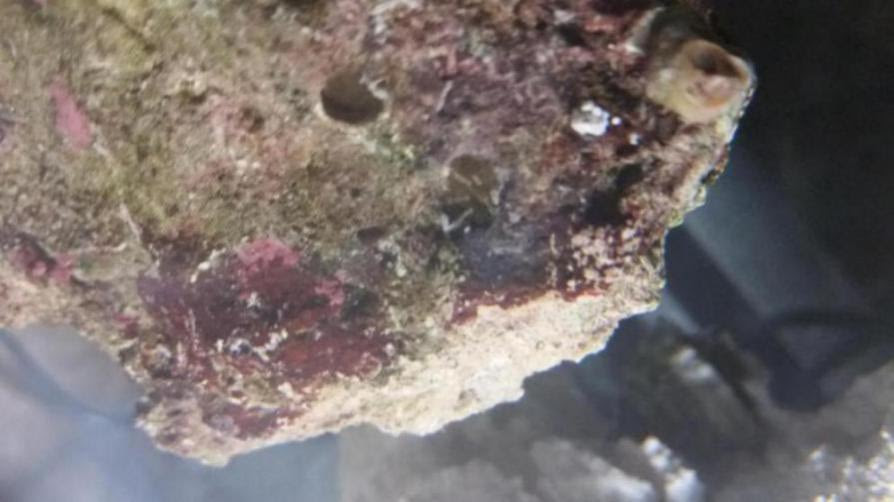 Click image for larger version Name: 1499041792240-2117635374_1499041866635.jpg Views: N/A Size: 48.6 KB ID: 158233