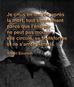 Location Jet Prive Citation Vi