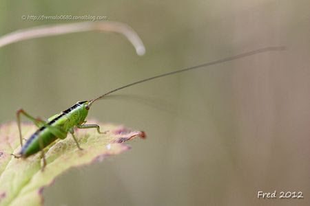 IMG_4292-signée