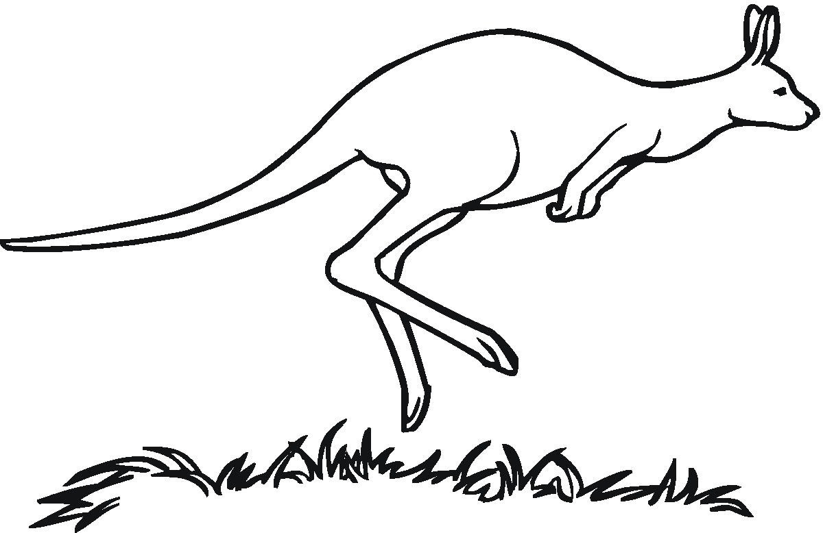 Free Kangaroo Outline, Download Free Clip Art, Free Clip ...