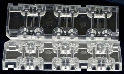 3d Cell growth