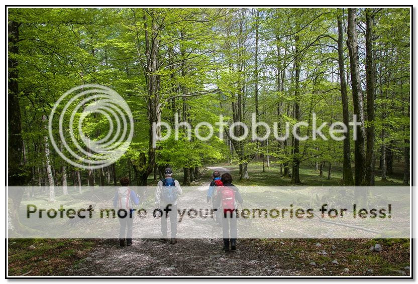 Photo Sharing and Video Hosting at Photobucket