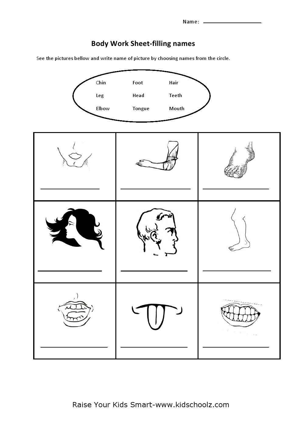 human body parts identification worksheets kidschoolz
