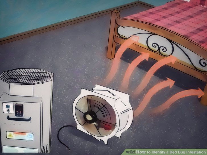 Identify a Bed Bug Infestation Step 17 Version 2.jpg
