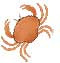 Cancer today horoscope 25 October