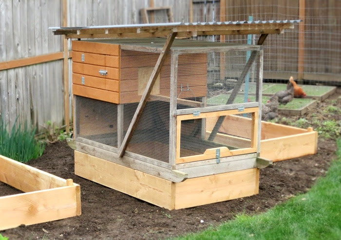 Pics Photos - Chicken Coop Designs Feeding Your Chickens