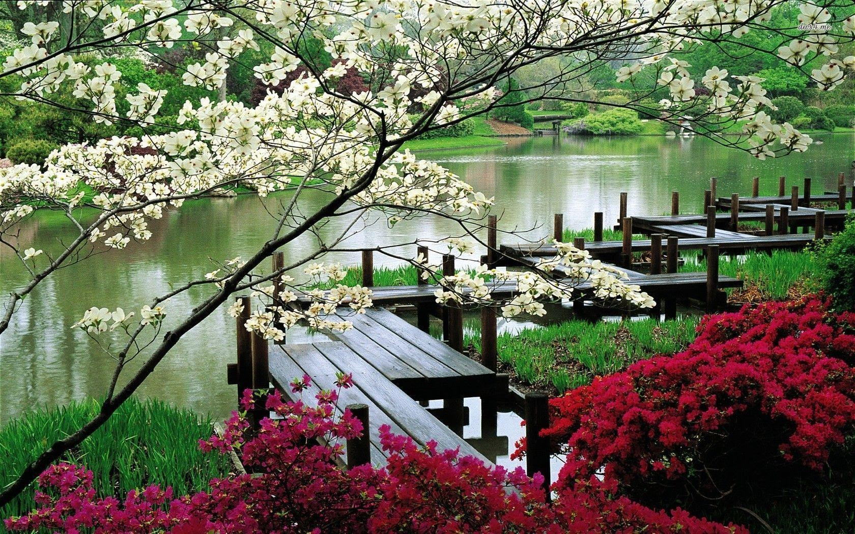 Japanese Garden Wallpapers - Wallpaper Cave