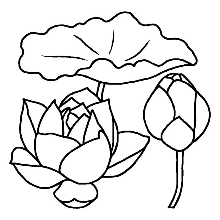 ハス 蓮 白黒 夏の花 無料イラスト素材